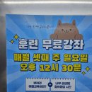 (주)애니언파크 네이버블로그