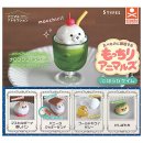 애니멀타임 이미지