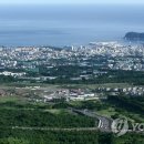 제주녹지리조트2 이미지