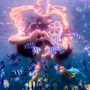 킹라온스파 | [세부] 해적호핑 :: 세부호핑투어, 힐룽뚱안+산빈센테, 내돈내산