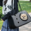 반려켄넬 이미지