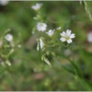 남원읍-15 이미지