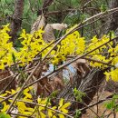 명문요양병원 이미지