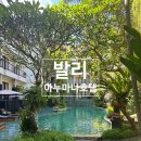 우붓 몽키포레스트 근처 숙소 수영장 있는 아누마나호텔