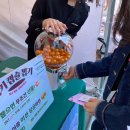 지산에덴어린이공원 | [가평] 가족과 함께 다녀온 가평 상천 에덴벚꽃길 벚꽃축제 🌸