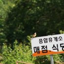 집다리골 자연휴양림 종합휴게소 이미지