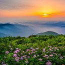 지리산 - 부천시 소사구 은성로 40 | 지리산