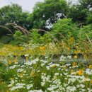 수원-0210 이미지