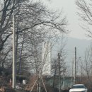 용 | 양평 숨은 맛집 현지인 추천 용칼국수 해물칼국수 후기