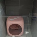 마이펫 룸 이미지