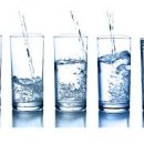 다이어트 윤 이미지