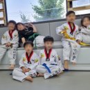 삼산비룡태권도 이미지