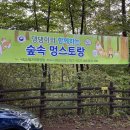 멍스토랑 | 산음휴양림 댕댕이와 함께하는 숲속 멍스토랑