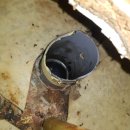 원비래어린이공원 이미지