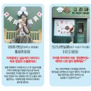 댕댕이뽀샵 이미지