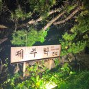 제주락 | 제주 서귀포 숙소 제주락 후기~ 조식+가성비 감성 가득