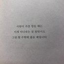 [일상] 퍄뇨도 해본 100문 100답 🙋‍♂️