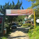 아쉬웠던후기 하우고개백숙 대풍농원 내돈내산