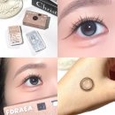 투톤마켓 | [MYFiPN] 마이피픈 신상 투톤렌즈 포레아 픽싱 애쉬 한달용 솔직 후기 및 착용샷