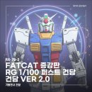78 | FATCAT 팻캣(胖虎) RG 1/100 증강판 RX-78-2 건담 조립 후기