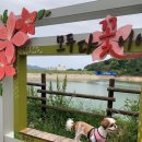 이모네비어 이미지