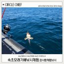 낚시 - 강릉시 율곡로 2932 | 장사항 속초배낚시체험 모래기호타고 선상낚시 다녀온 후기