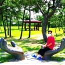 연오랑세오녀 테마공원 이미지