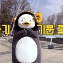 서진건설(주) 이미지