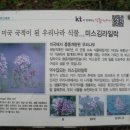한택로 네이버블로그