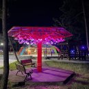 승달(애) 이미지