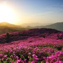 기린농협주유소 이미지