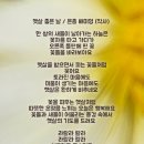 햇살 좋은날 이미지