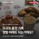 포코포코 - 금천구 독산로36길 73-8 | 소규모 출장클래스 후기｜포코포코 케이스와 행운의 거북이 키링 만들기