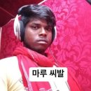커피콩방 | 8.4.~5. 나홀로 강릉여행 후기