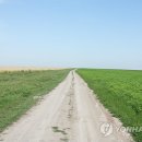 알로만농장 이미지