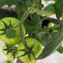 오길농장 이미지