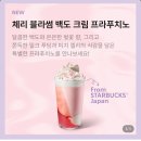 캣블라썸 | 스타벅스 체리블라썸 백도 크림 프라푸치노 신메뉴 출시 후기 | 블루밍 캣 글라스 콜드컵 에코텀블러...