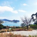 금화부동산공인중개사사무소 이미지