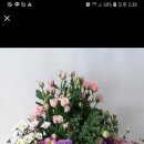 성해꽃직매장