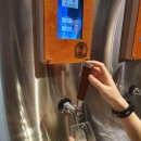 비어셀프 이미지