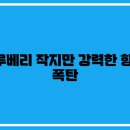 레전드푸드