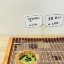 진주세무서하동지서 | 진주 칠암동 파이 맛집 가까이 가고싶은 디어 파이 후기