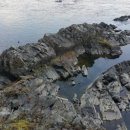 주천농협주유소 이미지