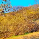 남천고을 이미지