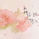 감성수채캘리그라피 이미지
