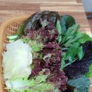 홍가네우렁쌈밥 | 의정부시청맛집 홍가네각시우렁쌈밥 내돈내산 후기