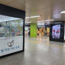 합정스타약국 이미지