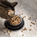 하이동물병원 이미지