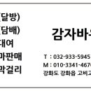 감자와고구마민박 이미지