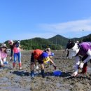 안포마을 이미지